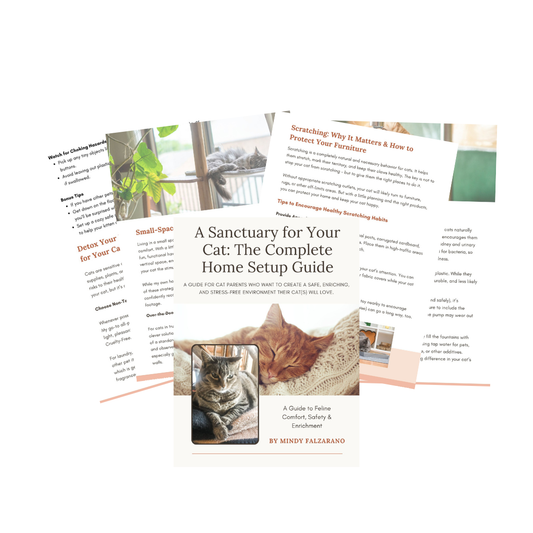 A Sanctuary for Your Cat: The Complete Home Setup Guide (Digital Download)
