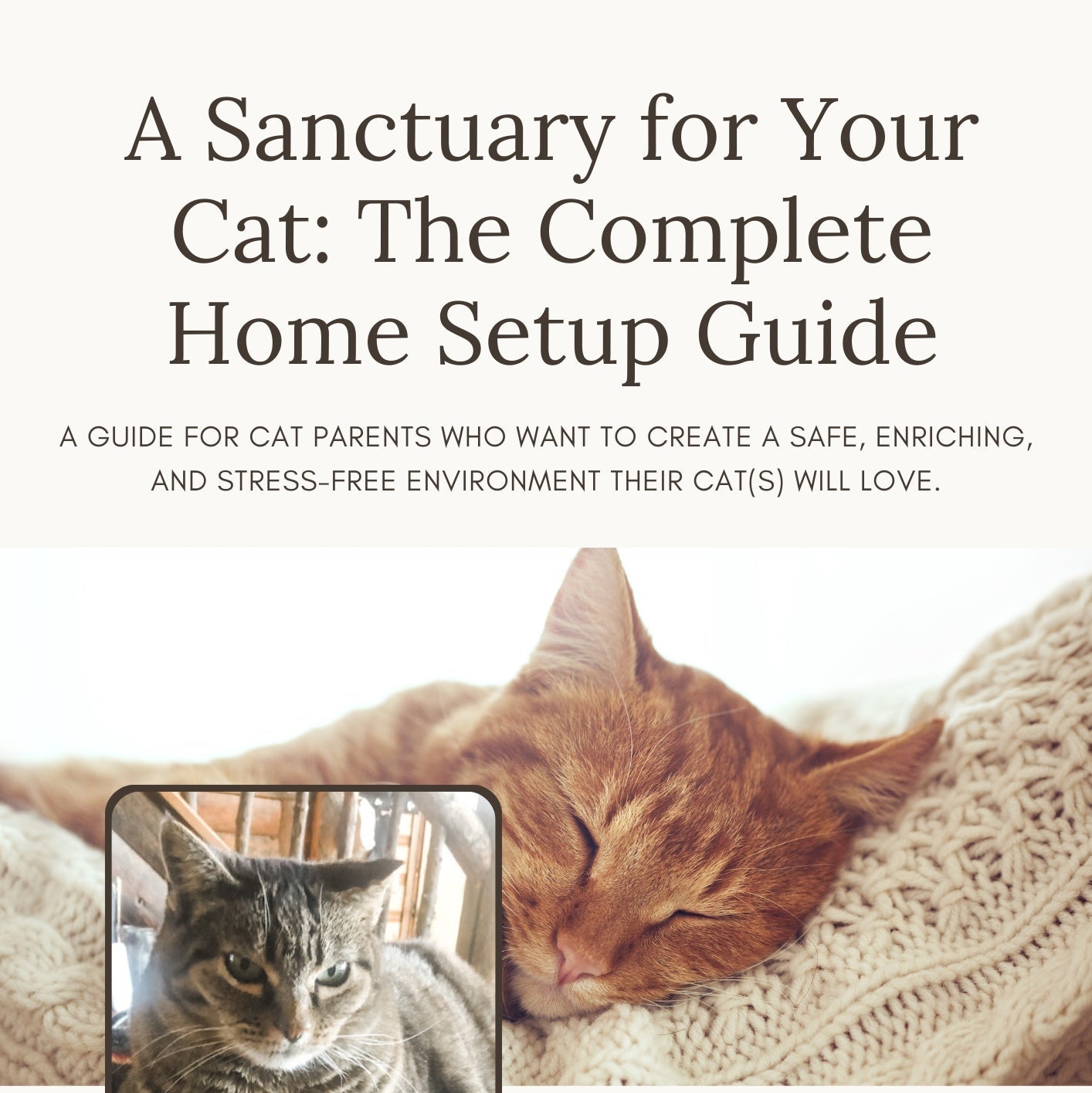 A Sanctuary for Your Cat: The Complete Home Setup Guide (Digital Download)